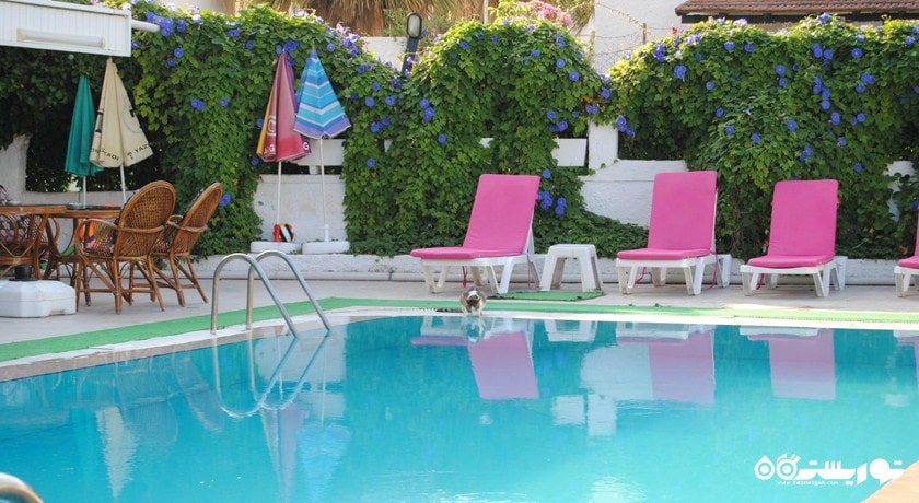 استخر روباز هتل مینای